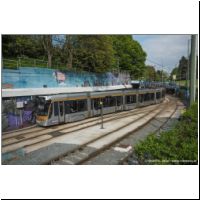 2019-04-29 °7 De Wand 4009 02.jpg